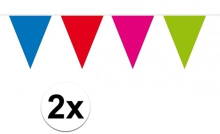 2x vlaggenlijn / slingers XXL meerkleurig 10 meter