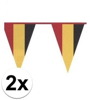 2x Vlaggenlijnen Belgie kleuren Multi