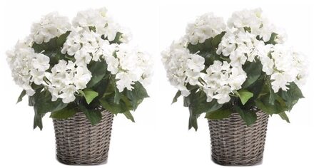 2x Witte Hortensia plant in mand 45 cm - Kunstplanten Groen