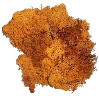 2x zakjes decoratie mos oranje 50 gram / Herfst en kerststukjes decoratie materiaal