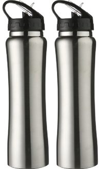 2x Zilveren Rvs Bidons/drinkflessen 500 Ml - Drinkflessen Zilverkleurig