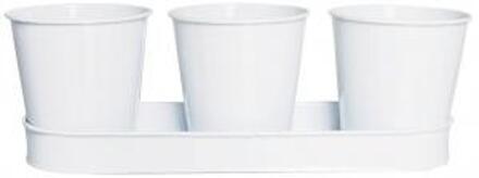 3 Bloempotjes op tray - Wit