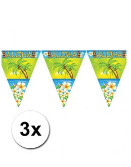 3 Hawaii vlaggenlijnen aloha 5 meter - Vlaggenlijnen Multikleur