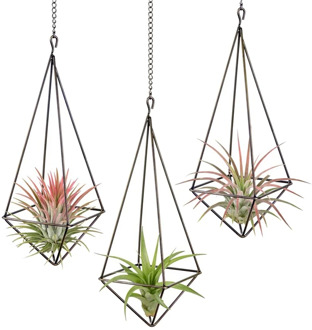 3 Pack Hanging Air Plant Holder Geometric Planter Air Plant Rack Tillandsia Hanger with Chain for Home Decor