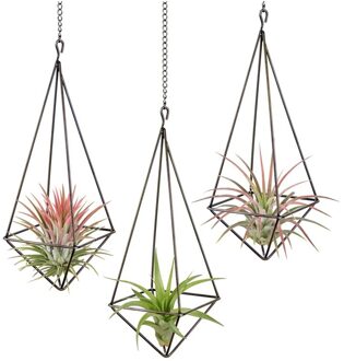 3 Pack Opknoping Air Plant Houder Geometrische Planter Air Plant Rack Tillandsia Hanger Met Ketting Voor Home Decor