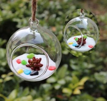 3 Size Clear Ball Bloem Opknoping Vaas Planter Terrarium Container Glas Home Decal Transparant Bloempotten Plantenbakken Mand 8cm