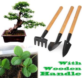 3 stks Mini Schop Hark Set Mini Tuin Gereedschap Bonsai Gereedschap Set Houten Handvat Metal Head Schop voor Bloemen Ingemaakte planten