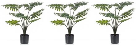 3 stuks groene Philodendron kunstplanten 60 cm met zwarte pot