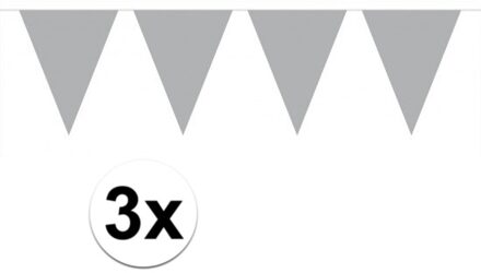 3 stuks Vlaggenlijnen/slingers XL zilver 6 meter
