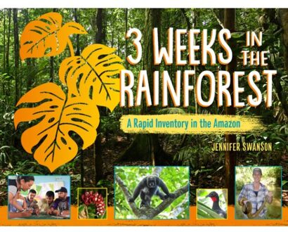 3 Weeks In The Rainforest - Jennifer Swanson