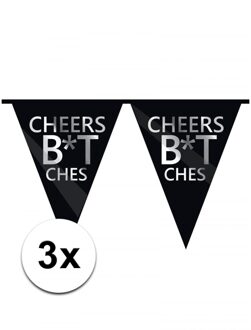 3 x Cheers Bitches vlaggenlijn 10 m