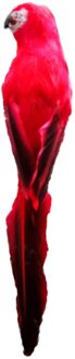 30 # Opknoping Papegaai Standbeeld In Binnenplaats Tuin Boom Interieur Decoratie Ornament Opknoping Sculptuur Decoratie Thuis Tuin Ambachtelijke rood