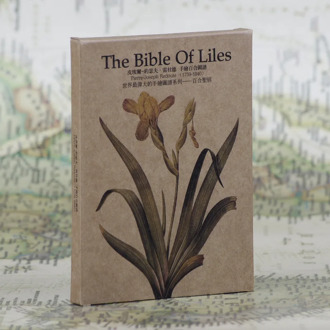 30 sheets/LOT Hand-painted Lily Series Postcard /Greeting Card/Wish Card/Christmas and New Year gifts