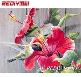 30X38Cm 3D Nauwkeurige Gedrukt Crystal Kralen Borduren Kit Vogel Bloem Beadwork Ambachten Handwerken Diy Kralen Kruissteek APT637