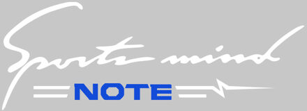 32 Cm X 11 Cm Zwart Rood Auto Auto Reflecterende Auto Vinyl Grafische Decal Brief Persoonlijkheid Auto Stickers Voor Nissan note E11 E12 wit blauw