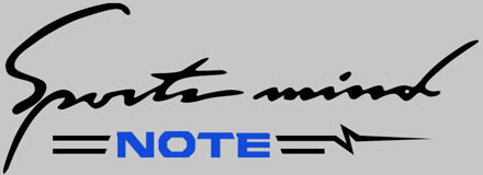 32 Cm X 11 Cm Zwart Rood Auto Auto Reflecterende Auto Vinyl Grafische Decal Brief Persoonlijkheid Auto Stickers Voor Nissan note E11 E12 zwart blauw