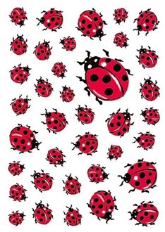 333x Lieveheersbeestje stickertjes voor kinderen