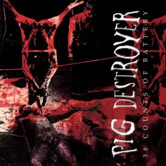 38 Counts Of Battery