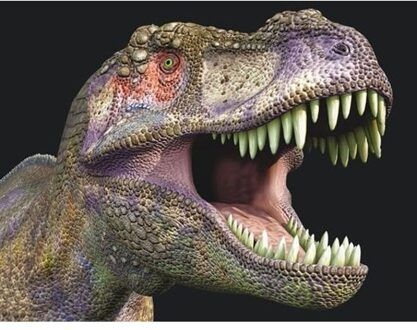 3D magneten met T-rex dinosaurus