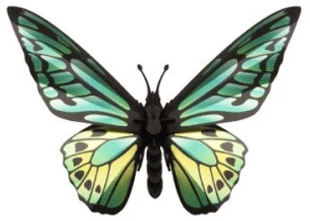 3D-puzzel Birdwing Vlinder - Groen