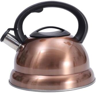 3L Fluitketel Voor Gasfornuis Inductie Kookplaat Rvs Met Warmte-Proof Handvat Koffie Waterkoker