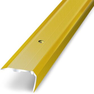 3m Aluminium Trapneus Met Gouden Strepen 36mmx18mm/170cm