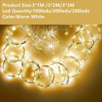 3M Led Gordijn Garland Usb String Lights Fairy Afstandsbediening Nieuwjaar Kerstvakantie Decoraties Voor Huis Venster Slaapkamer warm wit / 3X1M