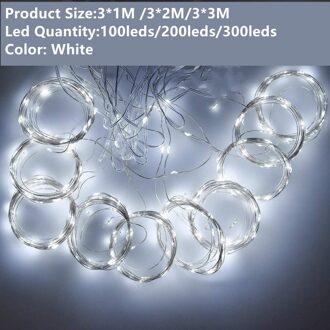3M Led Gordijn Garland Usb String Lights Fairy Afstandsbediening Nieuwjaar Kerstvakantie Decoraties Voor Huis Venster Slaapkamer wit / 3X1M