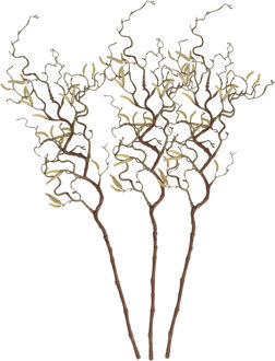 3x Bruine kronkelhazelaar paastak 66 cm - Paastakken