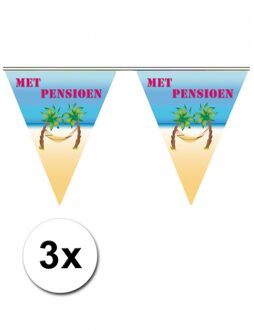 3x Feest vlaggenlijn pensioen - Vlaggenlijnen Multikleur