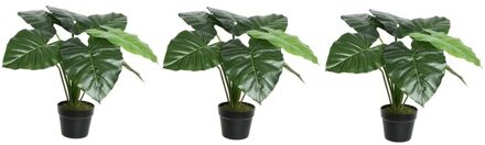 3x Groene Colocasia/taro kunstplant 52 cm in zwarte pot - Kunstplanten/nepplanten - Kantoorplanten