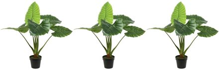 3x Groene Colocasia/taro kunstplanten 90 cm in zwarte pot - Kunstplanten/nepplanten