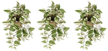 3x Groene Tradescantia/vaderplant Kunstplanten 70 Cm Met Pot - Kunstplanten