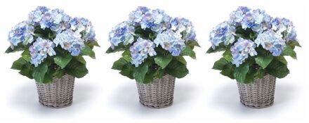 3x Kunstplanten blauwe Hortensia in mand 45 cm - Kunstplanten/nepplanten