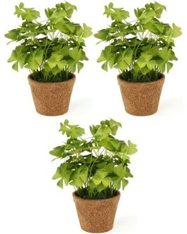 3x Kunstplanten klaver groen in pot 25 cm - Kamerplant groene klaverzuring