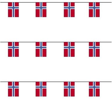 3x Papieren vlaggenlijnen Noorwegen - Vlaggenlijnen Multikleur