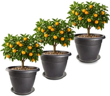 3x plantenpot met opvang schaal - antraciet - rond - D50 x H40 cm - kunststof - tuin