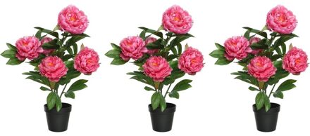 3x Roze Paeonia/pioenroos rozenstruik kunstplanten 57 cm in zwarte plastic pot - Kunstplanten/nepplanten - Pioenrozen