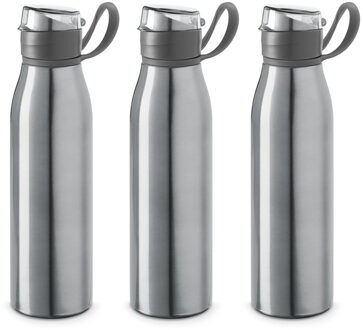3x Stuks aluminium waterfles/drinkfles zilver met klepdop en handvat 650 ml