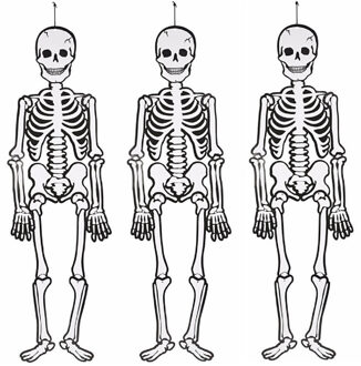 3x stuks glow in the dark hangdecoratie Halloween skelet 120 cm