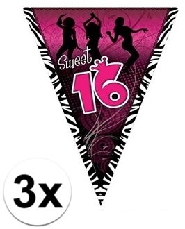 3x Sweet 16 verjaardag slingers 5 meter - Vlaggenlijnen Multikleur