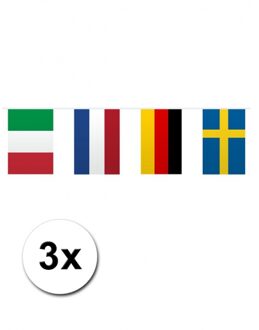 3x vlaggenlijn europa 10 meter