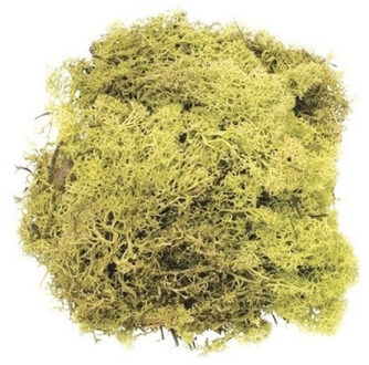3x zakjes lichtgroene mos natuurlijk materiaal 50 gram