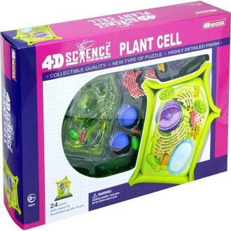 4 D Master plant mobiele anatomische Skelet Model voor dimensionale speelgoed anatomisch model Medische Wetenschap onderwijs apparatuur