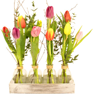 4 flesjes voorjaar! mixed tulpen