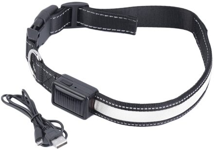4 Kleuren Led Nylon Pet Dog Collar Nacht Veiligheid Led Light-Up Knipperend Glow In The Dark Verlichte Hond kragen Voorraad Aanbieding
