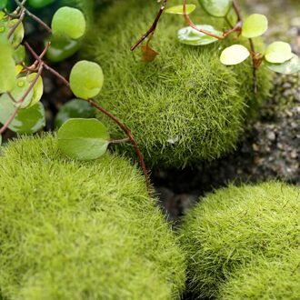 4 Maten Kunstmatige Foam Green Moss Planten Decoraties Creatieve Huis Tuin Gazon Floor Versieringen Home Decoraties Levert M 7x8CM