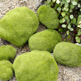 4 Maten Kunstmatige Foam Green Moss Planten Decoraties Creatieve Huis Tuin Gazon Floor Versieringen Home Decoraties Levert S 5x6CM