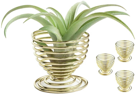 4 Pack Air Plants Holders Air Plant Wall NO Container Stand Display Included Plants Hanger Tabletop Golden