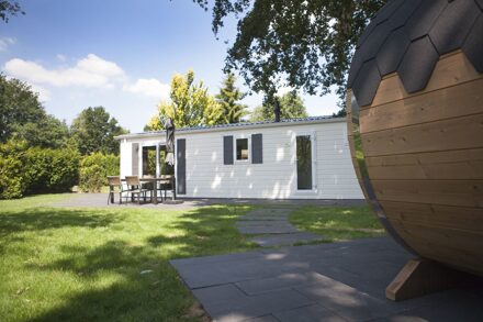 4-persoons chalet met wellness op park in Voorthuizen Veluwe
